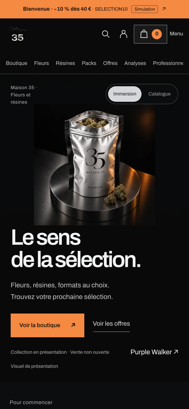 Page d'accueil du site de Maison 35 sur mobile