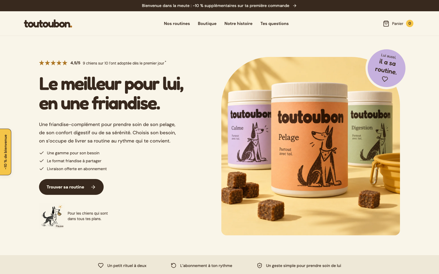 Page d'accueil du site de Toutoubon